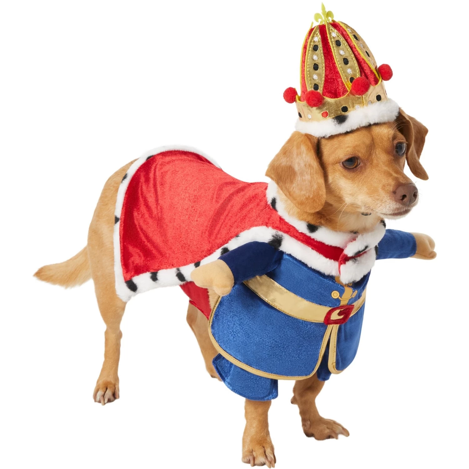 Frisco Front Walking Royal King Dog & Cat Costume - Image 4