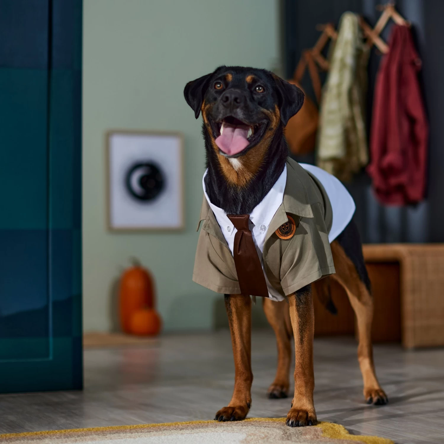 Marvel 's Loki Varient Lightweight Dog & Cat Jacket - Image 6