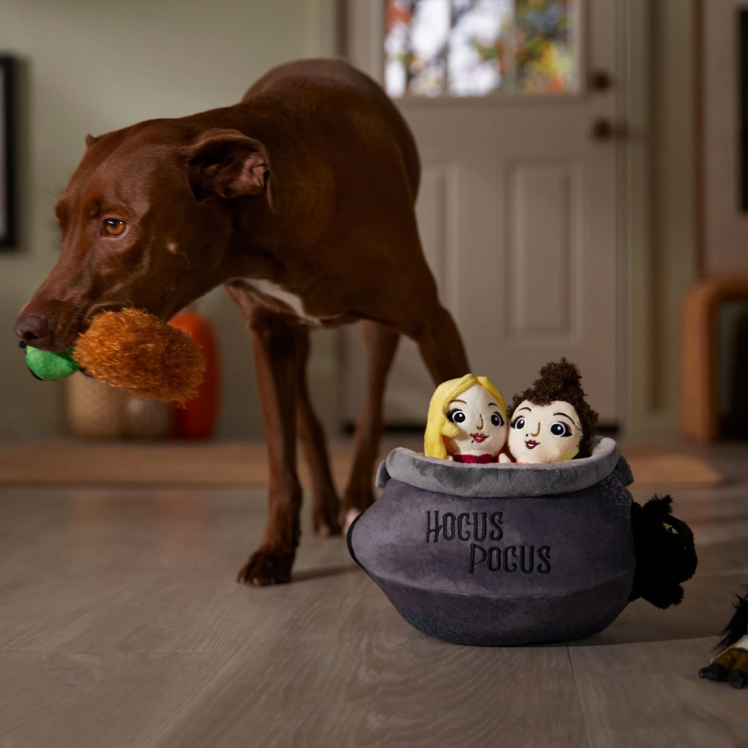 Disney Halloween Hocus Pocus Cauldron Hide & Seek Puzzle Plush Toy Squeaky Dog Toy - Image 4