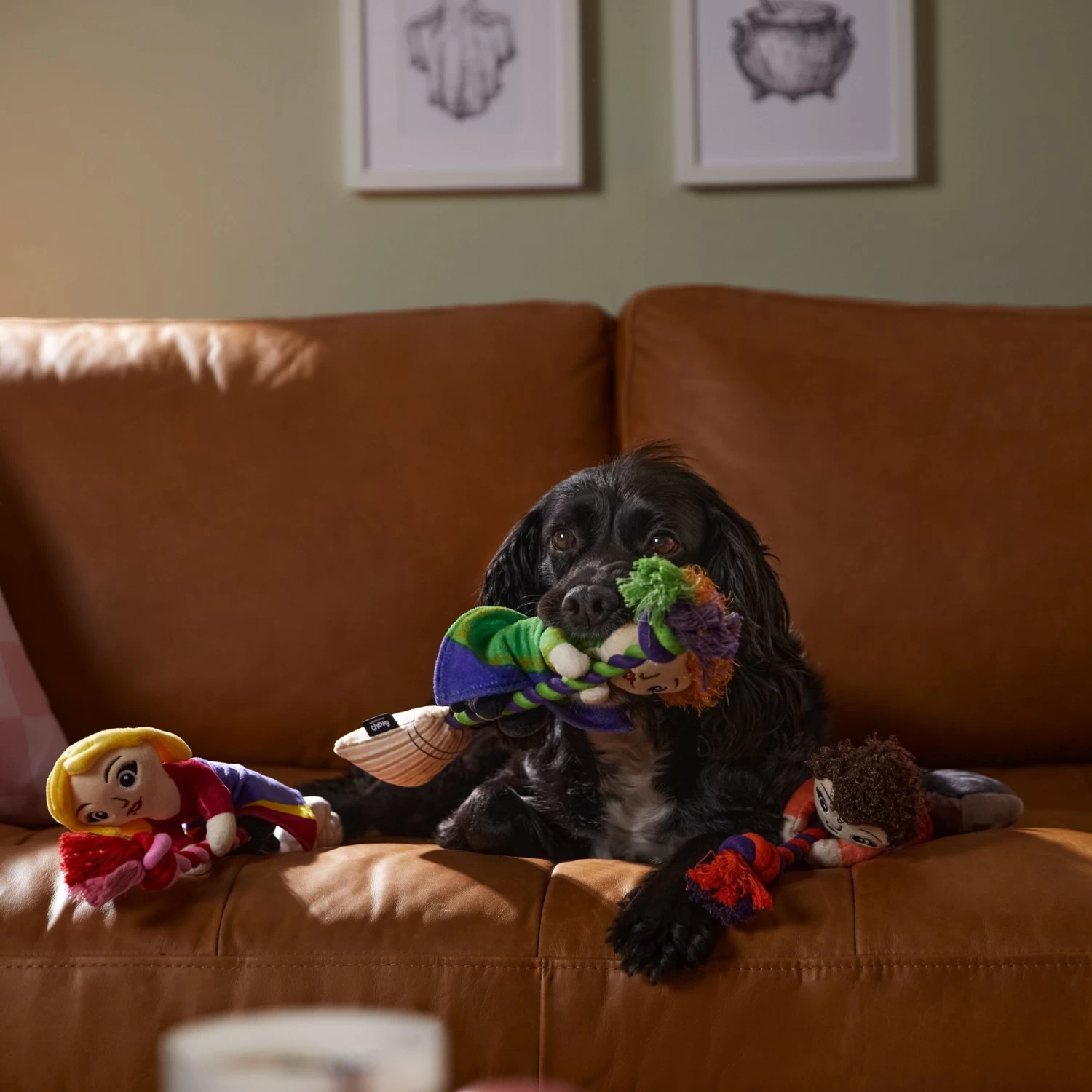 Disney Halloween Hocus Pocus Sanderson Sisters Plush With Rope Squeaky Dog Toy - Image 3