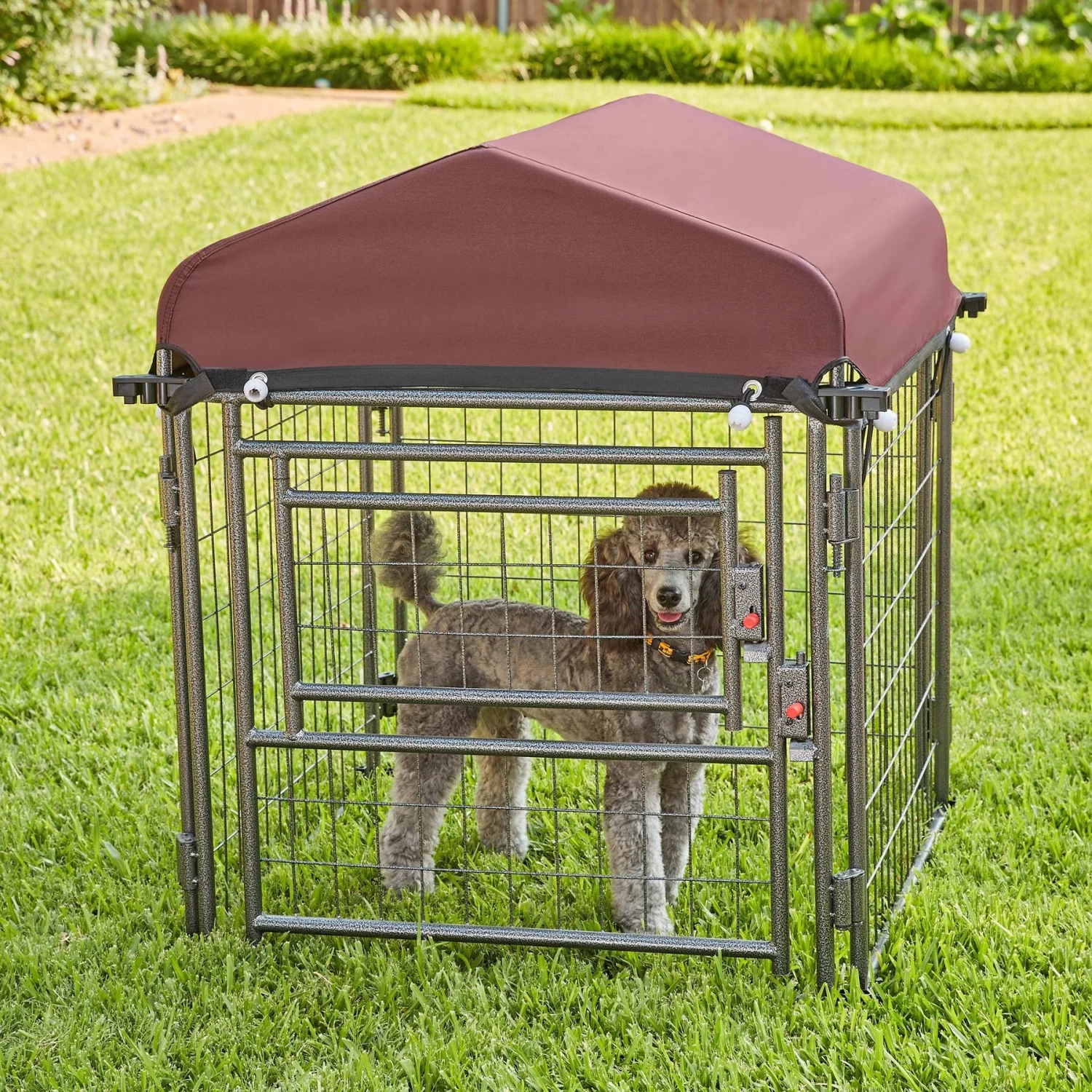 Two By Two The Hangout Expandable Steel Dog Kennel, Small, Black