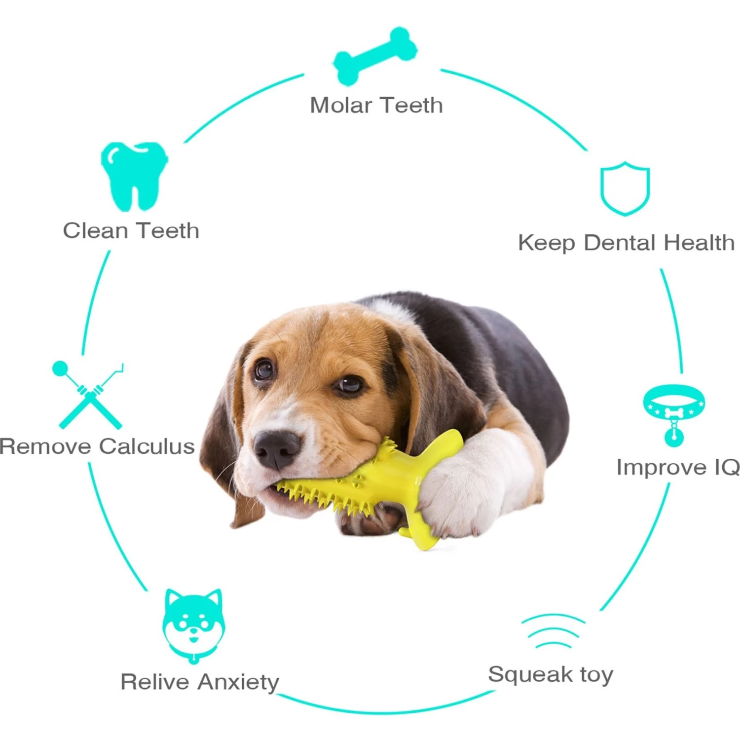 Hanamya Toothbrush Dog Chew Toy - Image 2