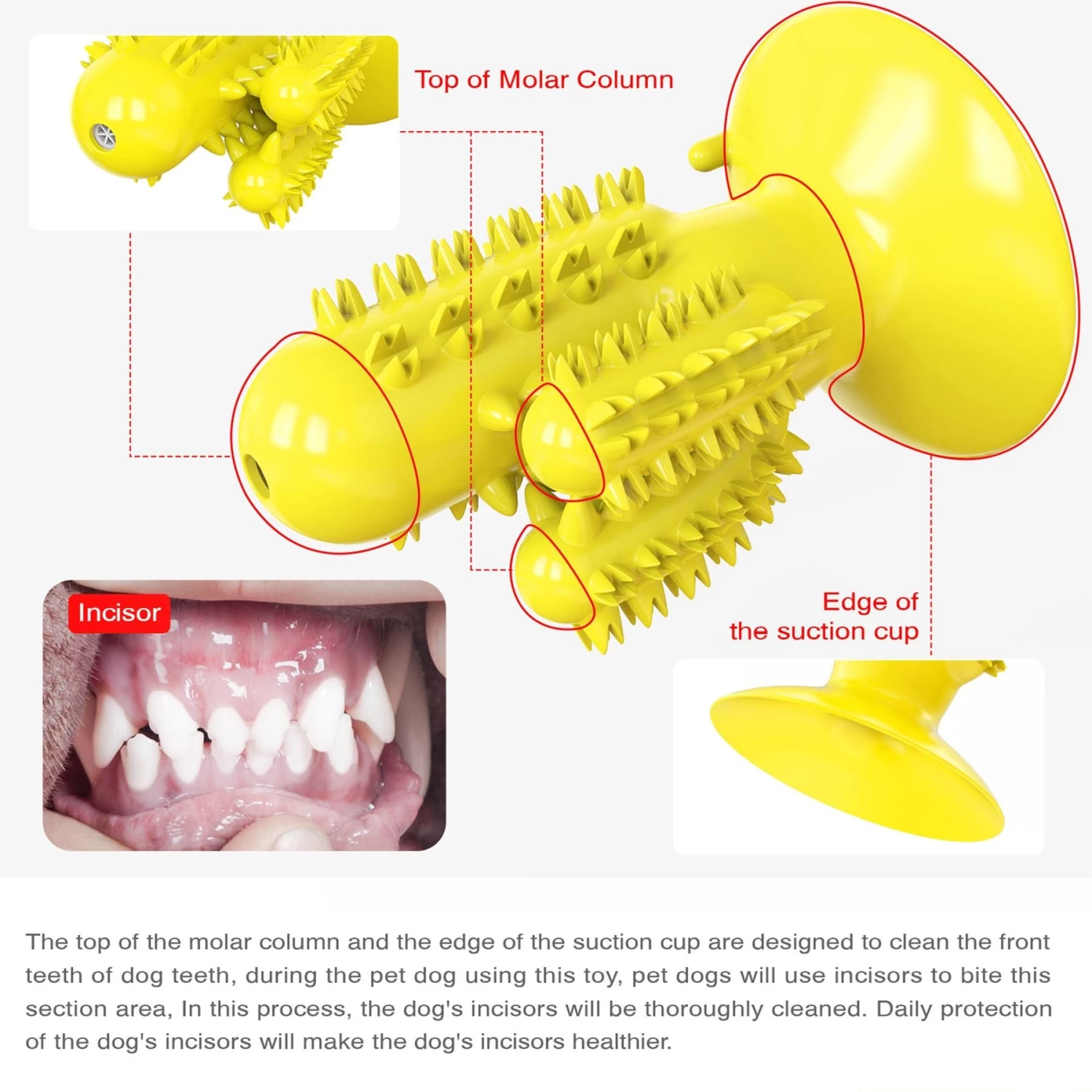 Hanamya Toothbrush Dog Chew Toy - Image 4