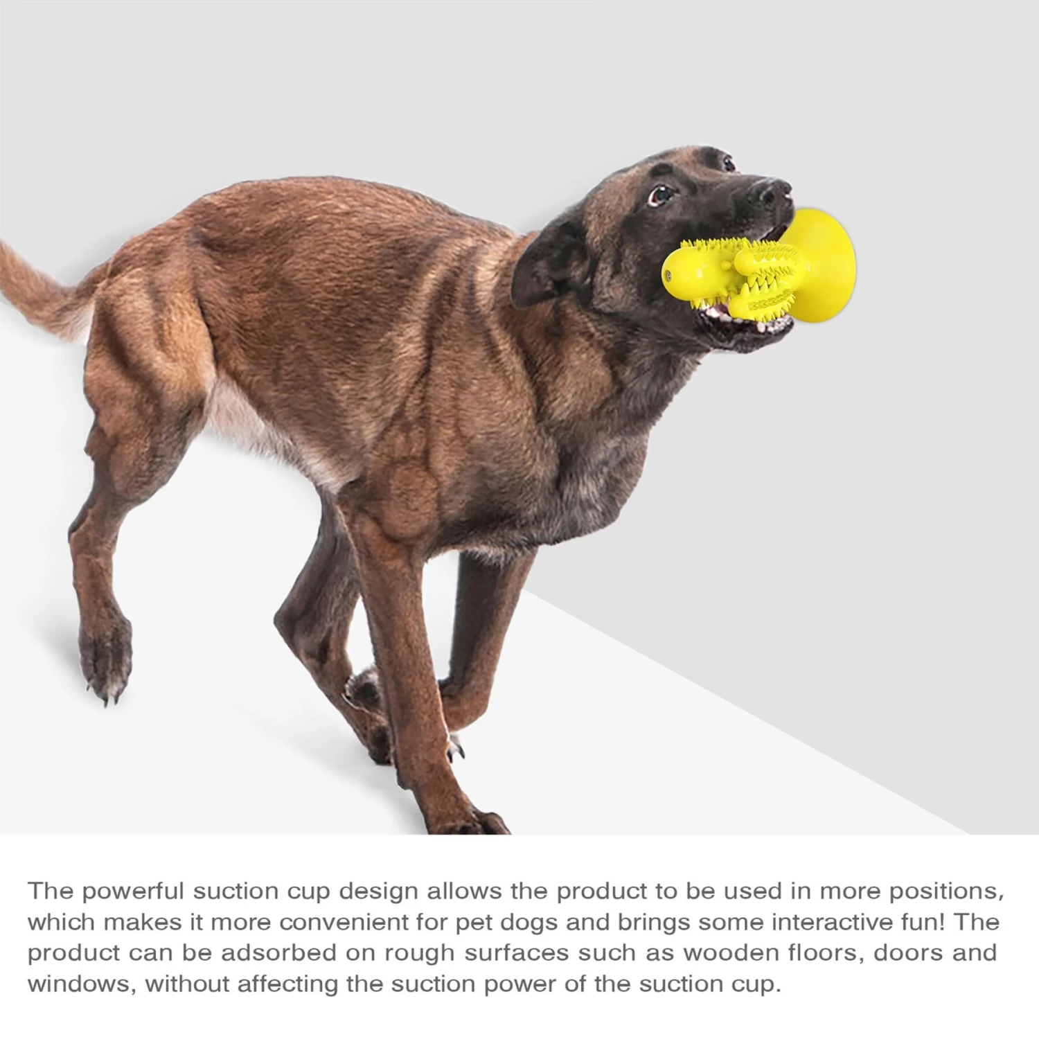 Hanamya Toothbrush Dog Chew Toy - Image 7