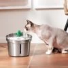 Frisco Stainless Steel Cactus & Leaf Dog & Cat Fountain