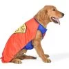 Fetch For Pets DC Comics Halloween Superman Dog Costume