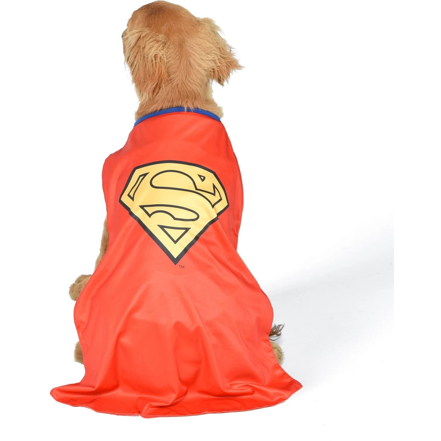 Fetch For Pets DC Comics Halloween Superman Dog Costume - Image 3