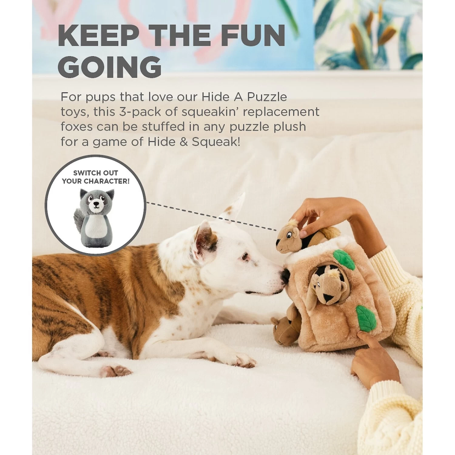 Outward Hound Squeakin' Racoon Hide A Puzzle Plush Dog Toy, 3 Count - Image 3