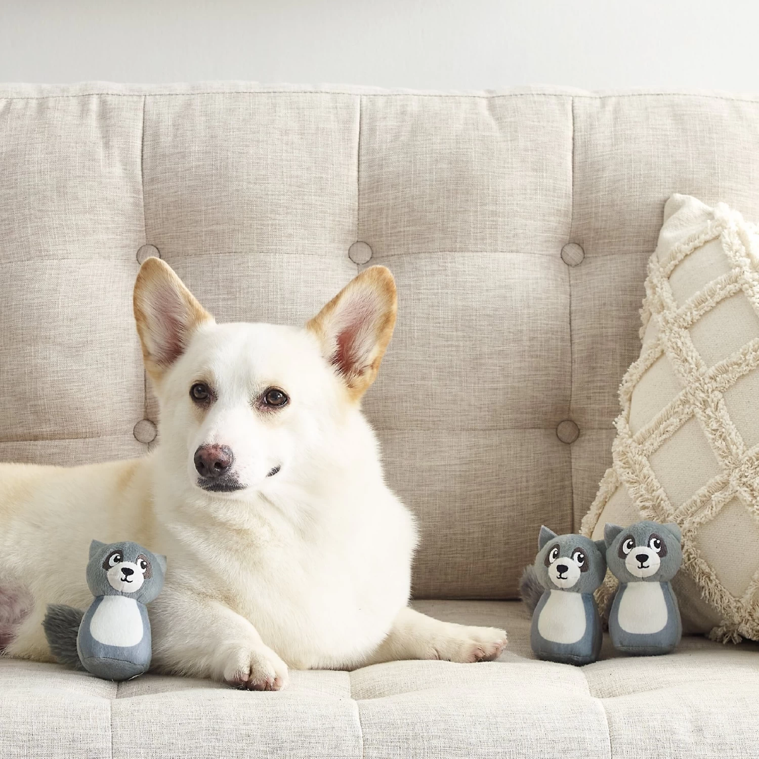 Outward Hound Squeakin' Racoon Hide A Puzzle Plush Dog Toy, 3 Count - Image 5