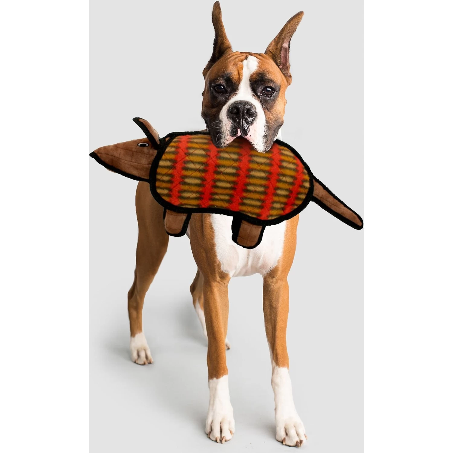 Tuffy's Arnie The Armadillo Plush Dog Toy - Image 4