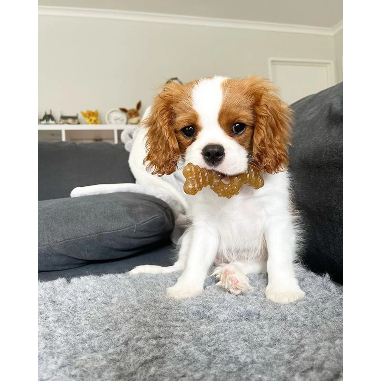 Nylabone Puppy Chew Ring Chicken Flavored Puppy Chew Toy - Image 2