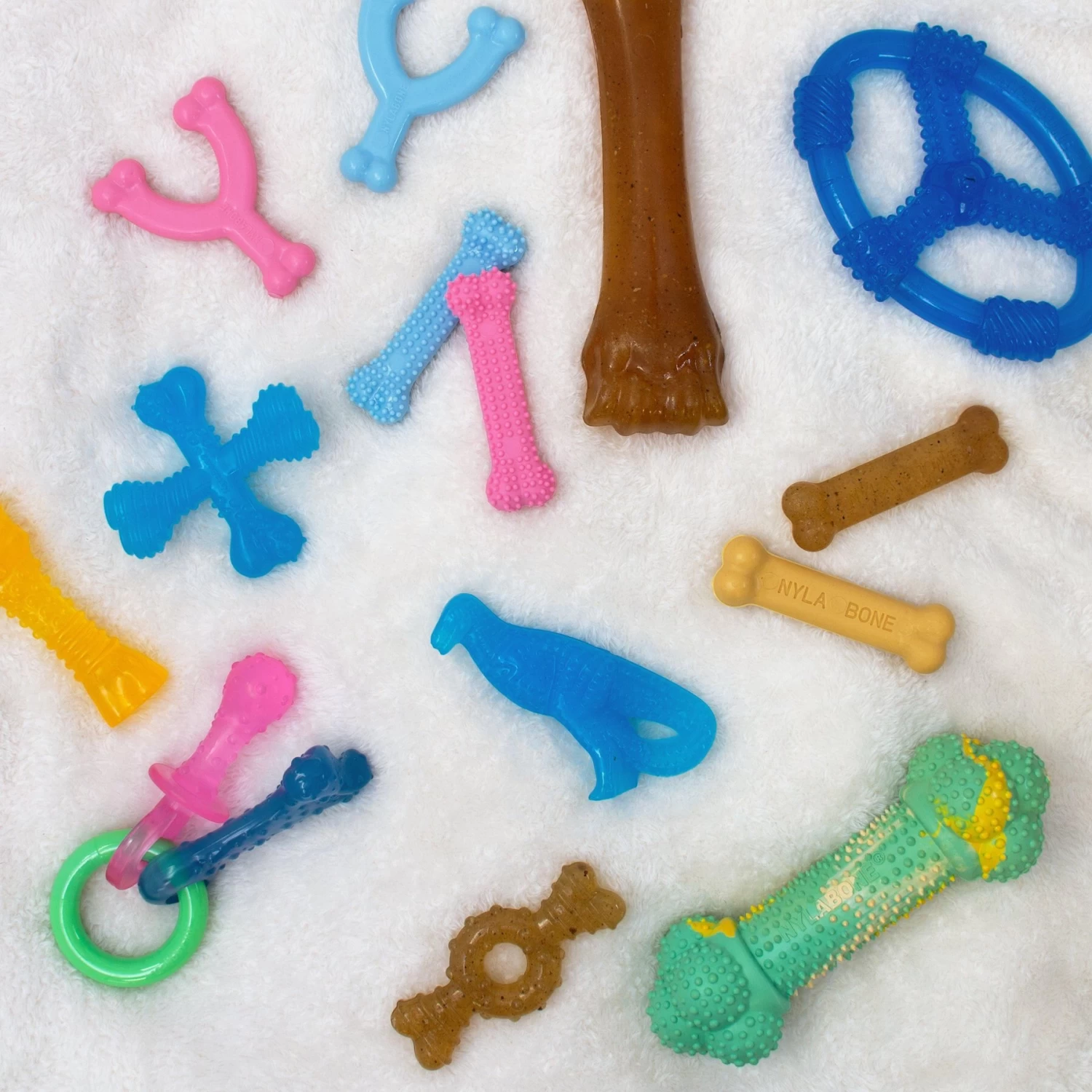 Nylabone Puppy Chew Ring Chicken Flavored Puppy Chew Toy - Image 6