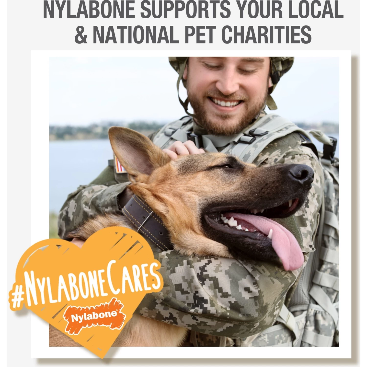 Nylabone Puppy Chew Ring Chicken Flavored Puppy Chew Toy - Image 8