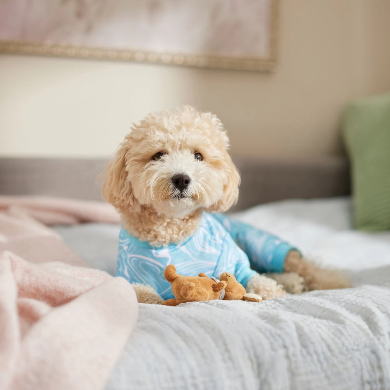 Frisco Blue Ocean Waves Dog & Cat Jersey PJs - Image 5