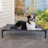 K&H Pet Products Original Pet Cot Elevated Dog Bed