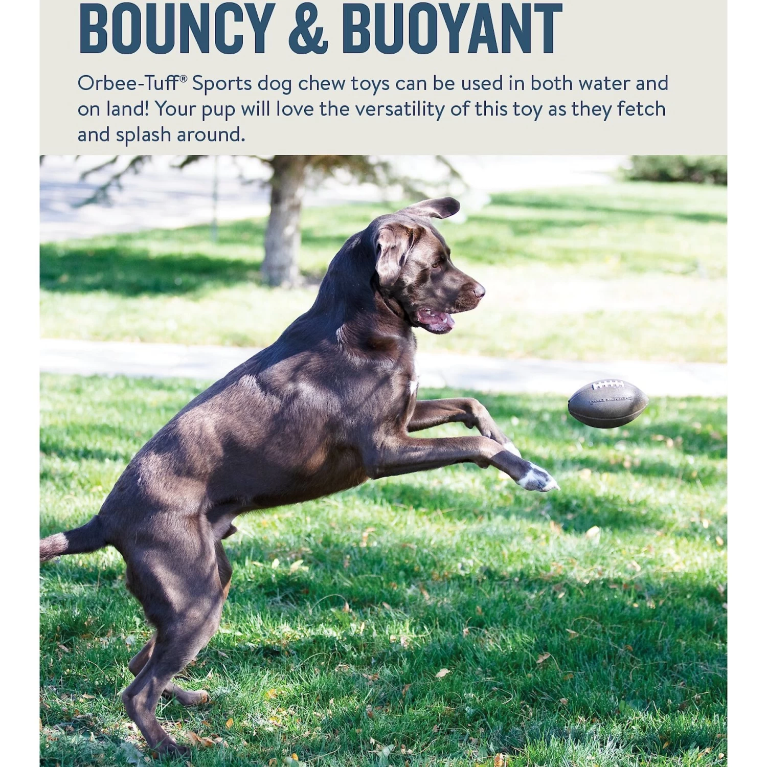 Planet Dog Orbee-Tuff Sport FootBall Tough Dog Chew Toy - Image 4