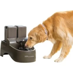 PetSafe Drinkwell Outdoor Plastic Dog & Cat Fountain