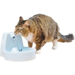 PetSafe Drinkwell Original Plastic Dog & Cat Fountain