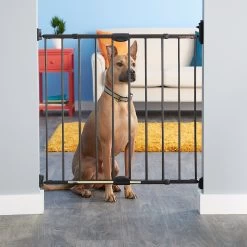 MyPet Windsor Walk Thru Swing Gate For Dogs & Cats