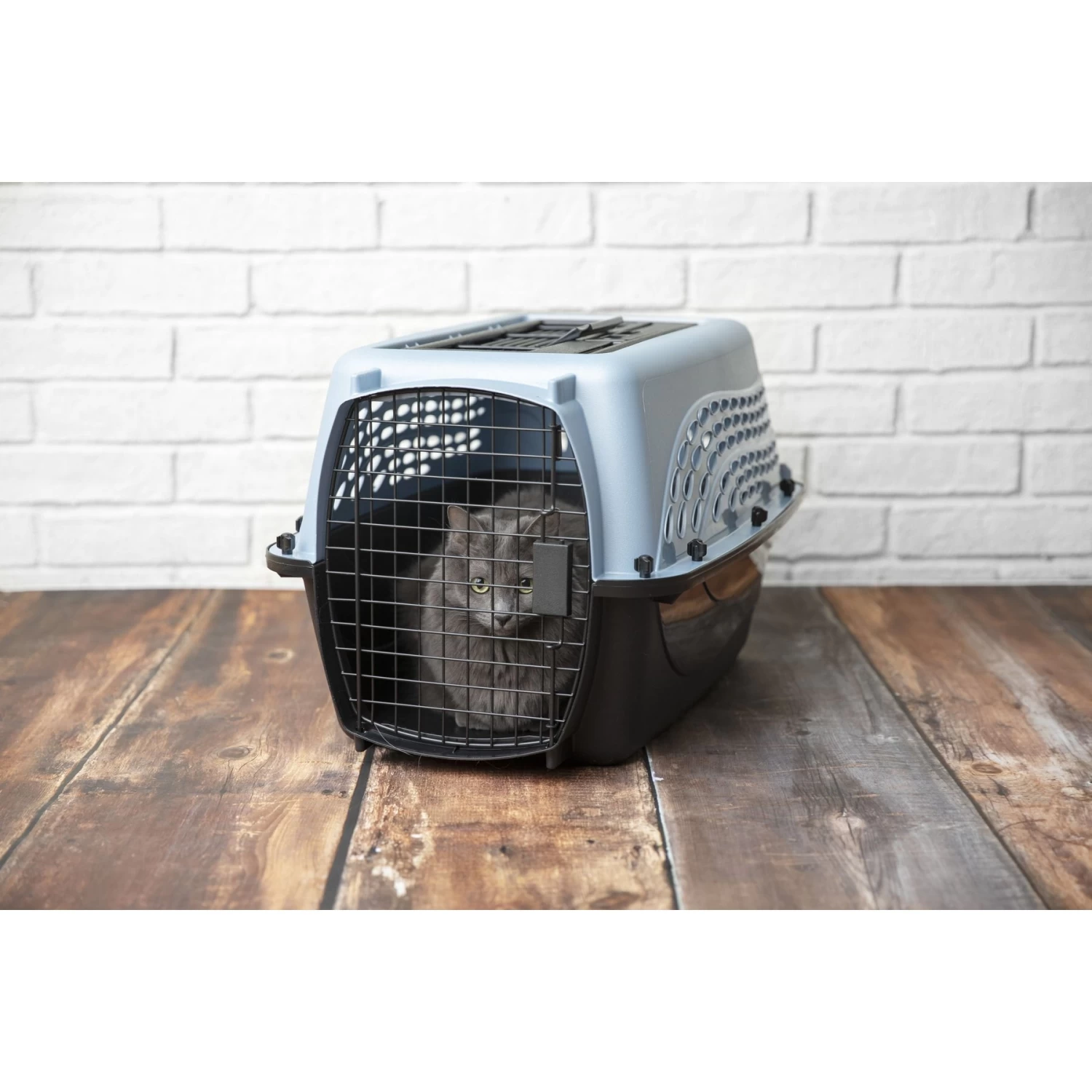 Petmate Two Door Top Load Dog & Cat Kennel - Image 4