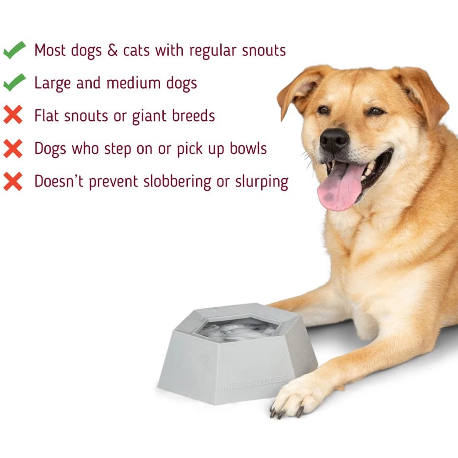 Leashboss Splashless Travel Dog Water Bowl, Gray, 40-oz Cup - Image 3