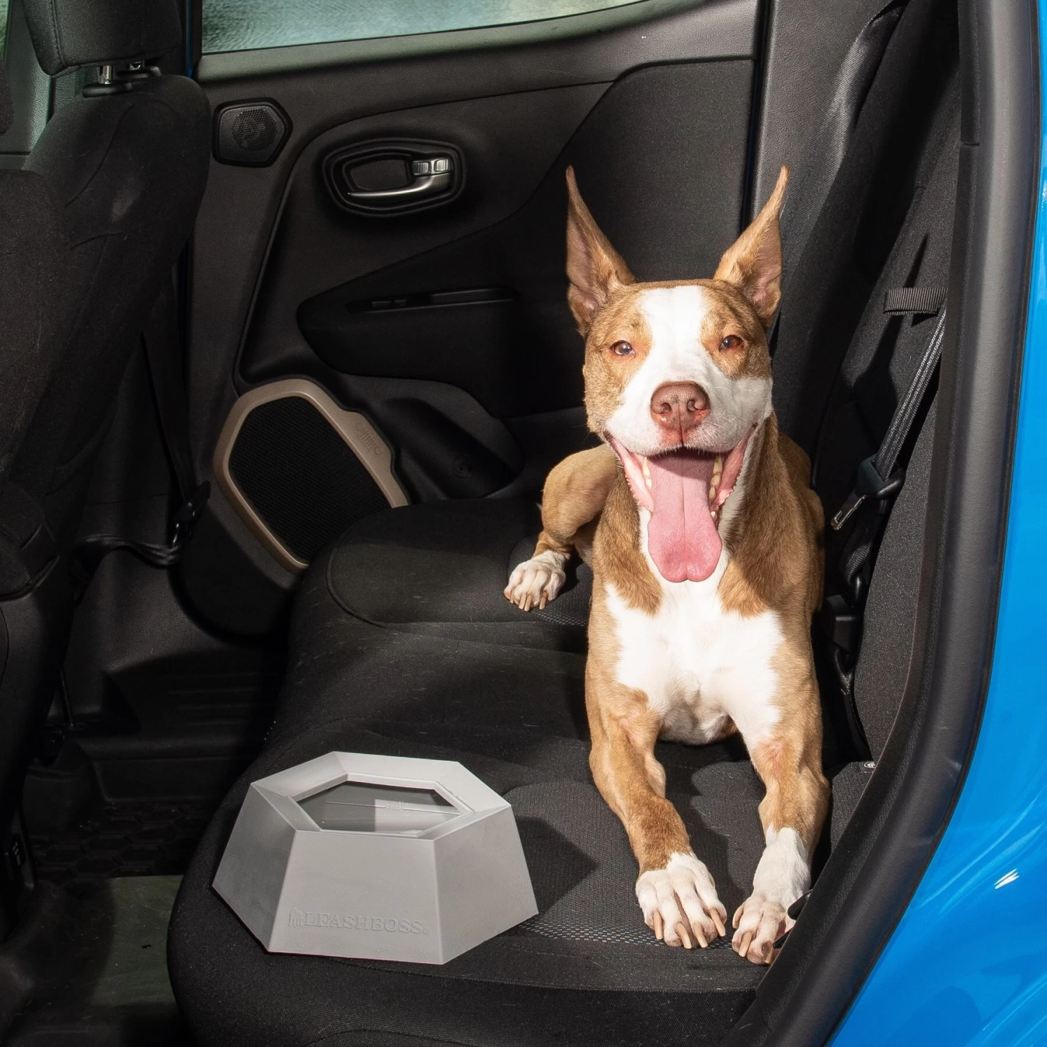 Leashboss Splashless Travel Dog Water Bowl, Gray, 40-oz Cup - Image 5