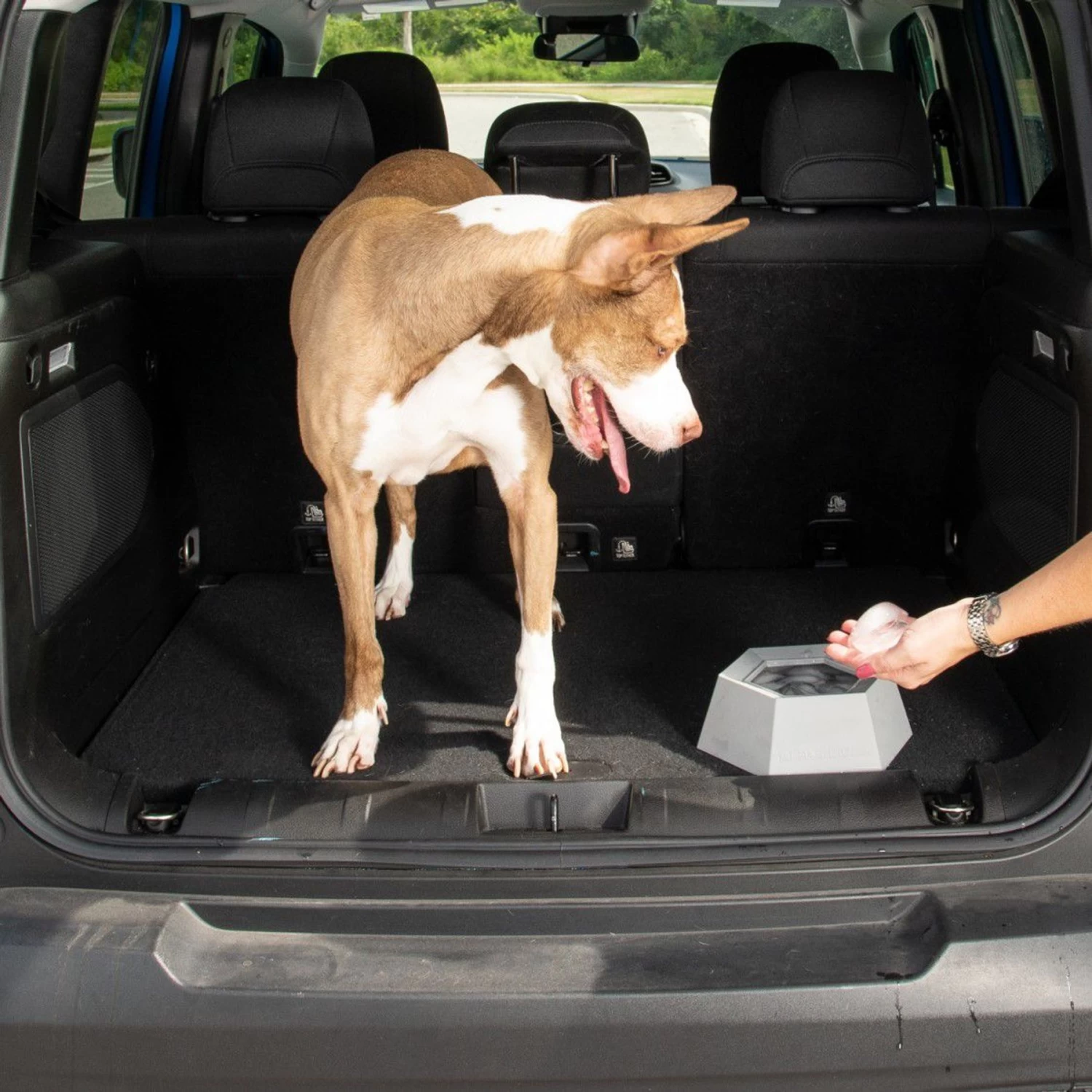 Leashboss Splashless Travel Dog Water Bowl, Gray, 40-oz Cup - Image 6