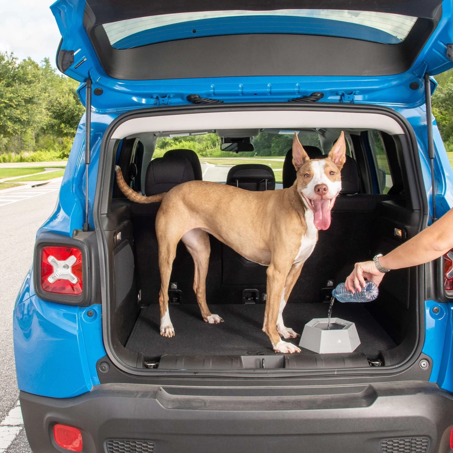 Leashboss Splashless Travel Dog Water Bowl, Gray, 40-oz Cup - Image 7