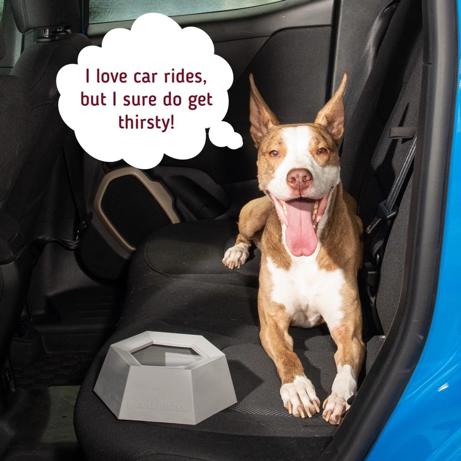 Leashboss Splashless Travel Dog Water Bowl, Gray, 40-oz Cup - Image 8