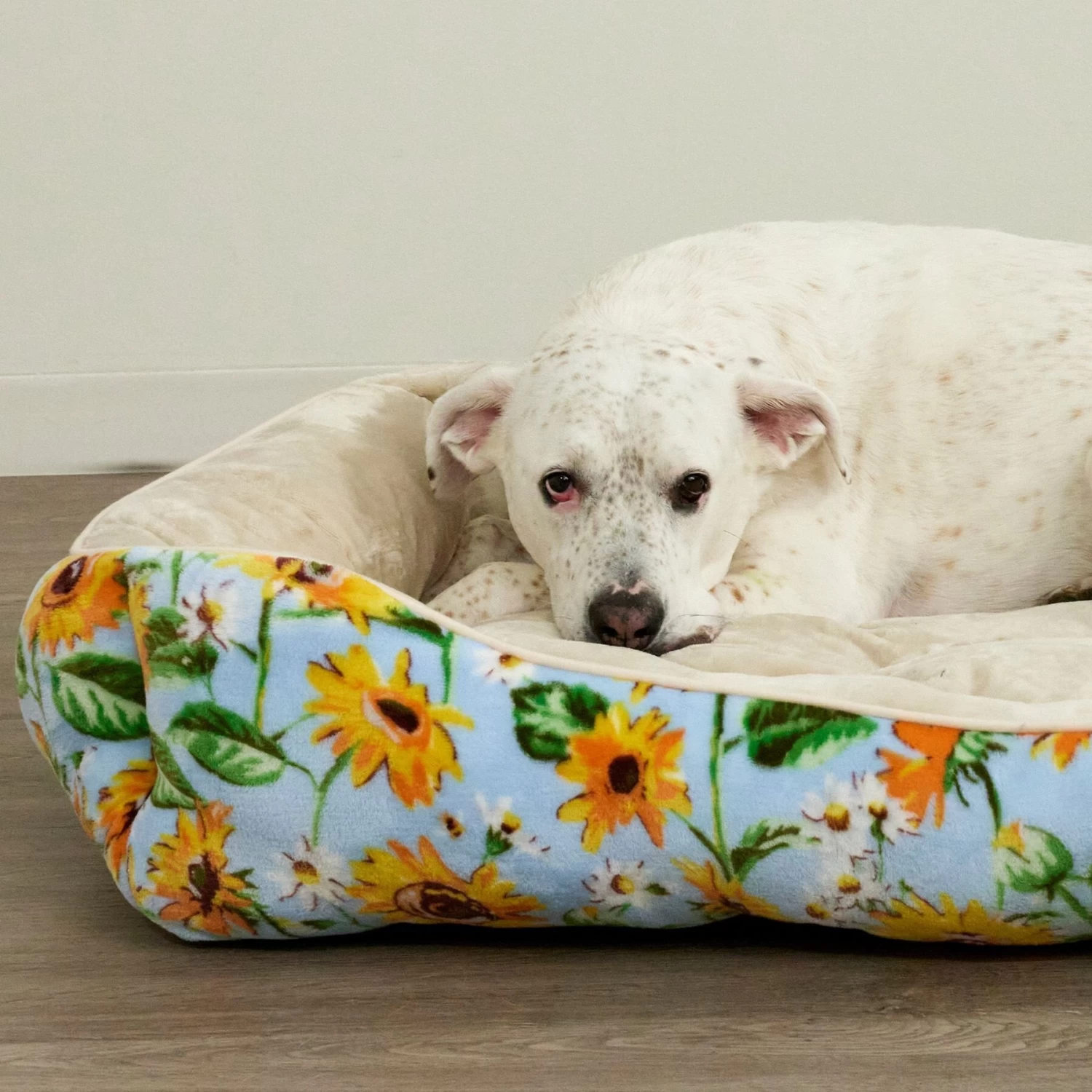 Vera Bradley Cat & Dog Bed - Image 3