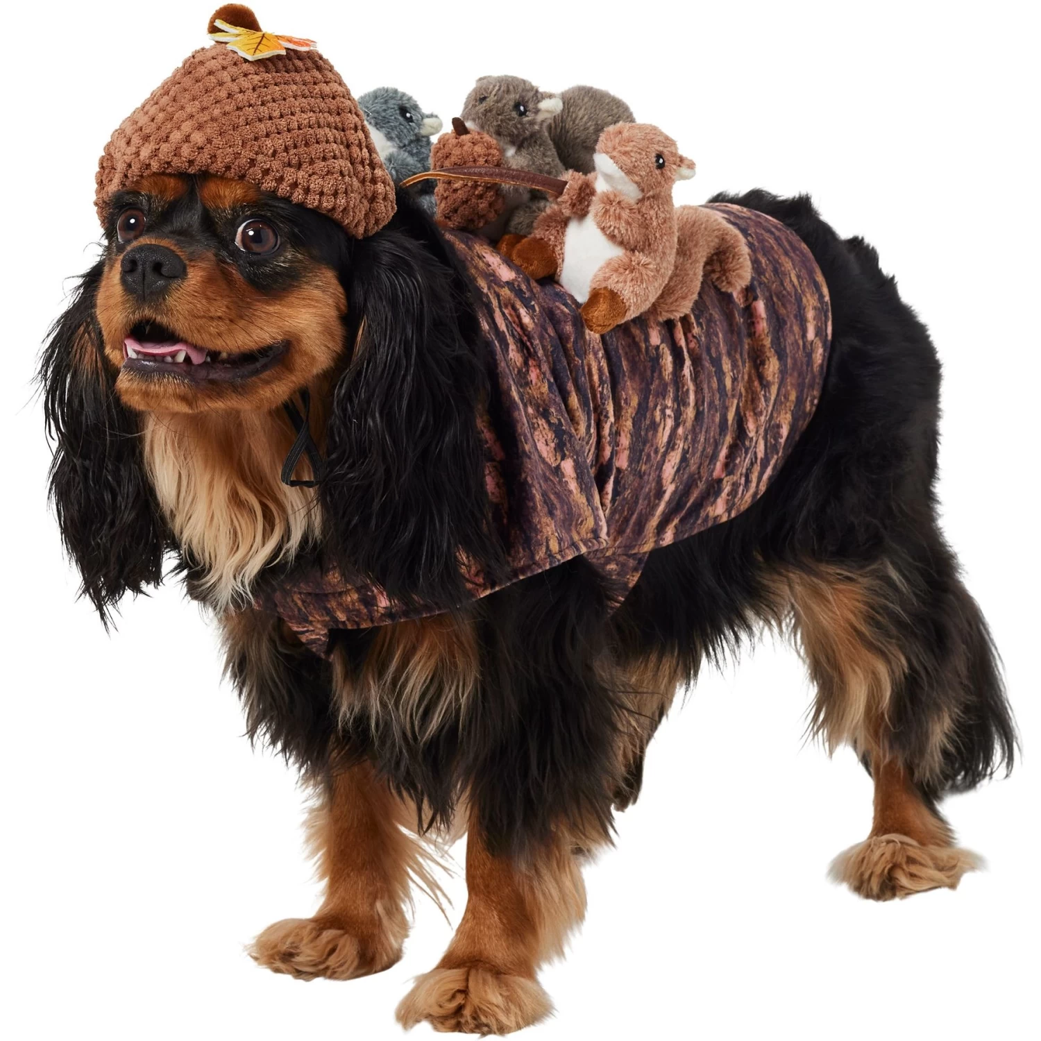 Frisco Squirrels & Nuts Ride-On Dog & Cat Costume