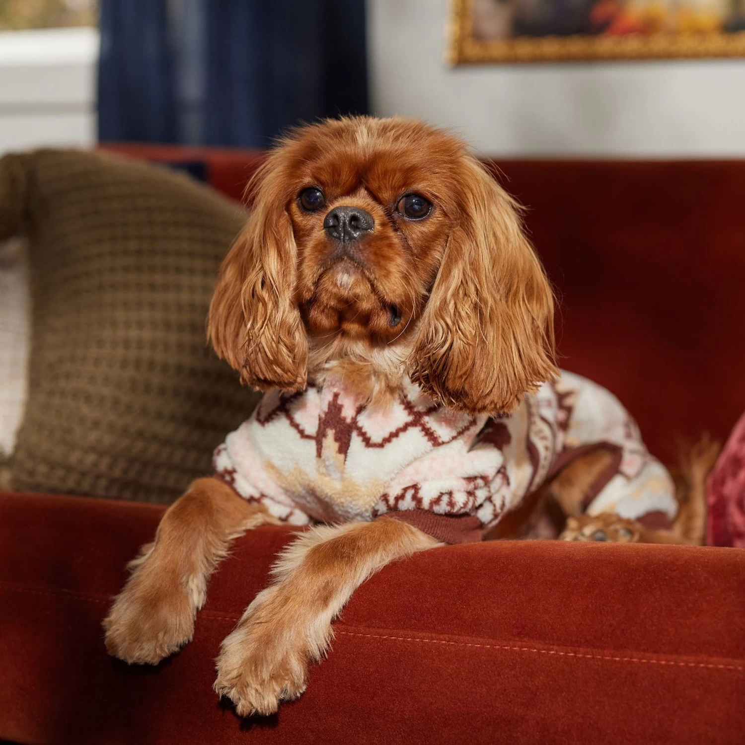 Frisco Fairisle Cozy Plush Fleece Dog & Cat PJs, Cream - Image 7