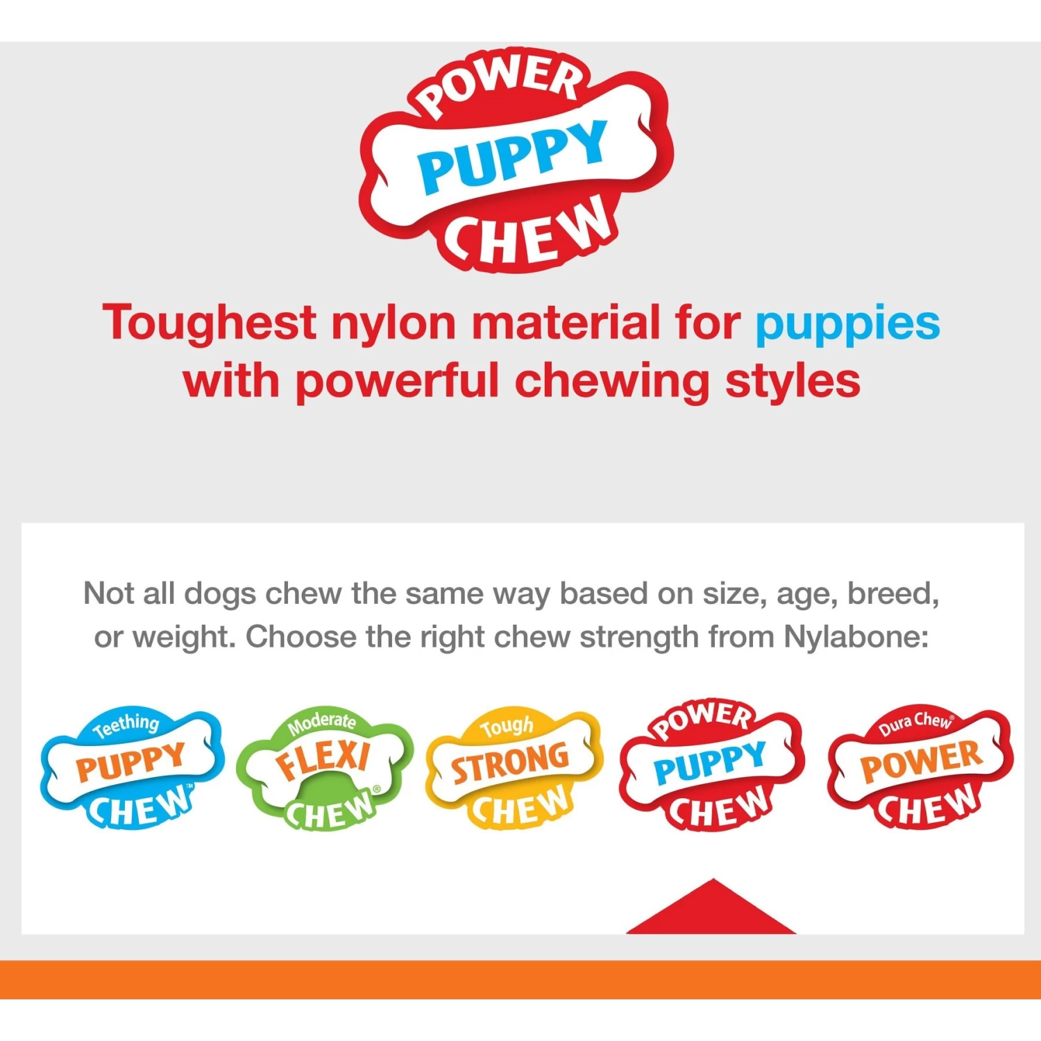 Nylabone Puppy Power Chew Knuckle Bone & Pop-In Puppy Treat Toy Combo - Image 4
