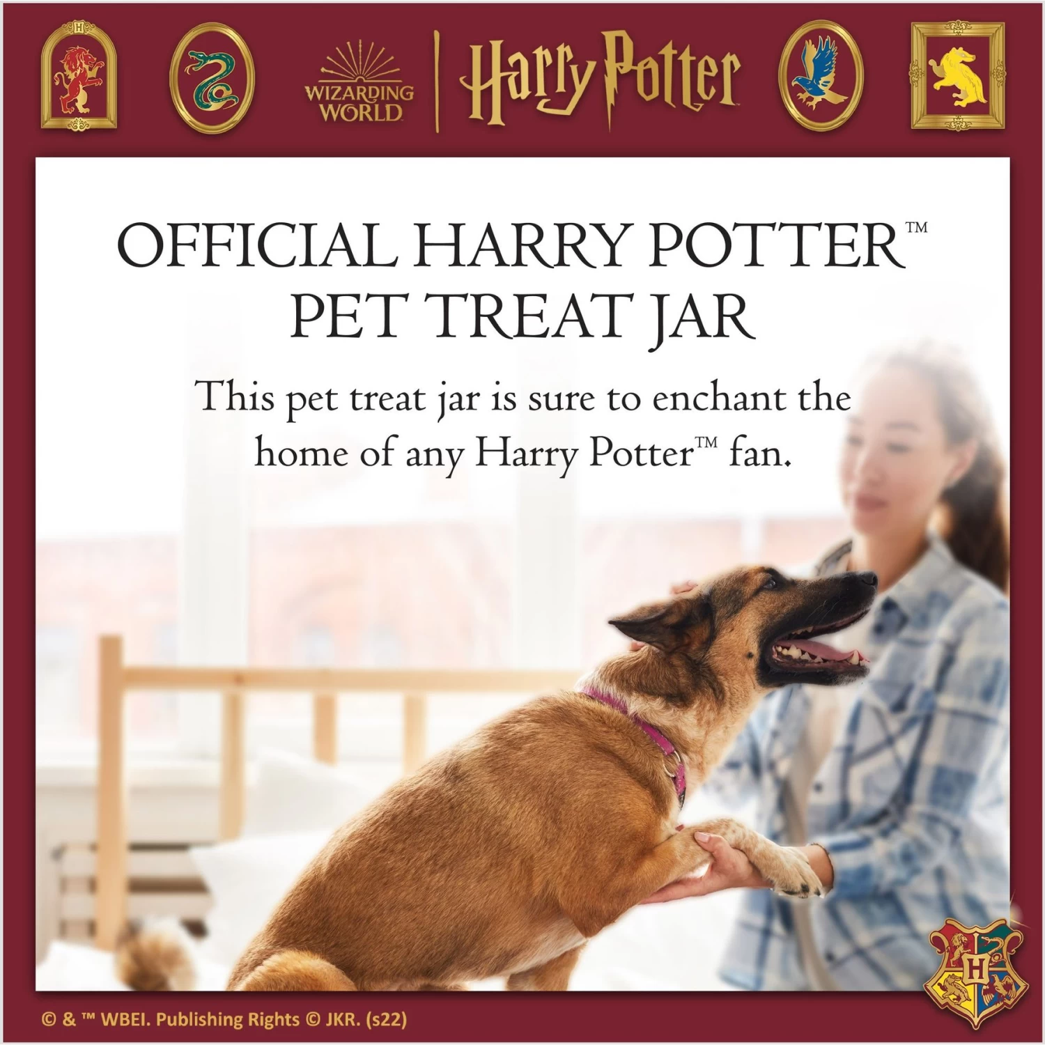 Fetch For Pets Harry Potter Hedwig Dog Treat Jar - Image 3