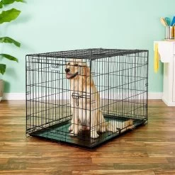 Precision Pet Products Provalu Single Door Collapsible Wire Dog Crate