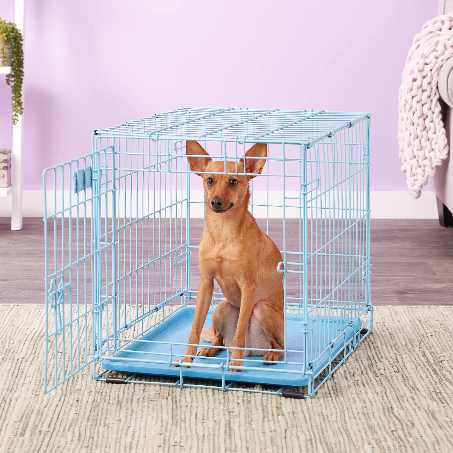 MidWest ICrate Single Door Collapsible Wire Dog Crate, Blue - Image 5