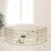 MidWest Wire Dog Exercise Pen With Step-Thru Door, Gold Zinc