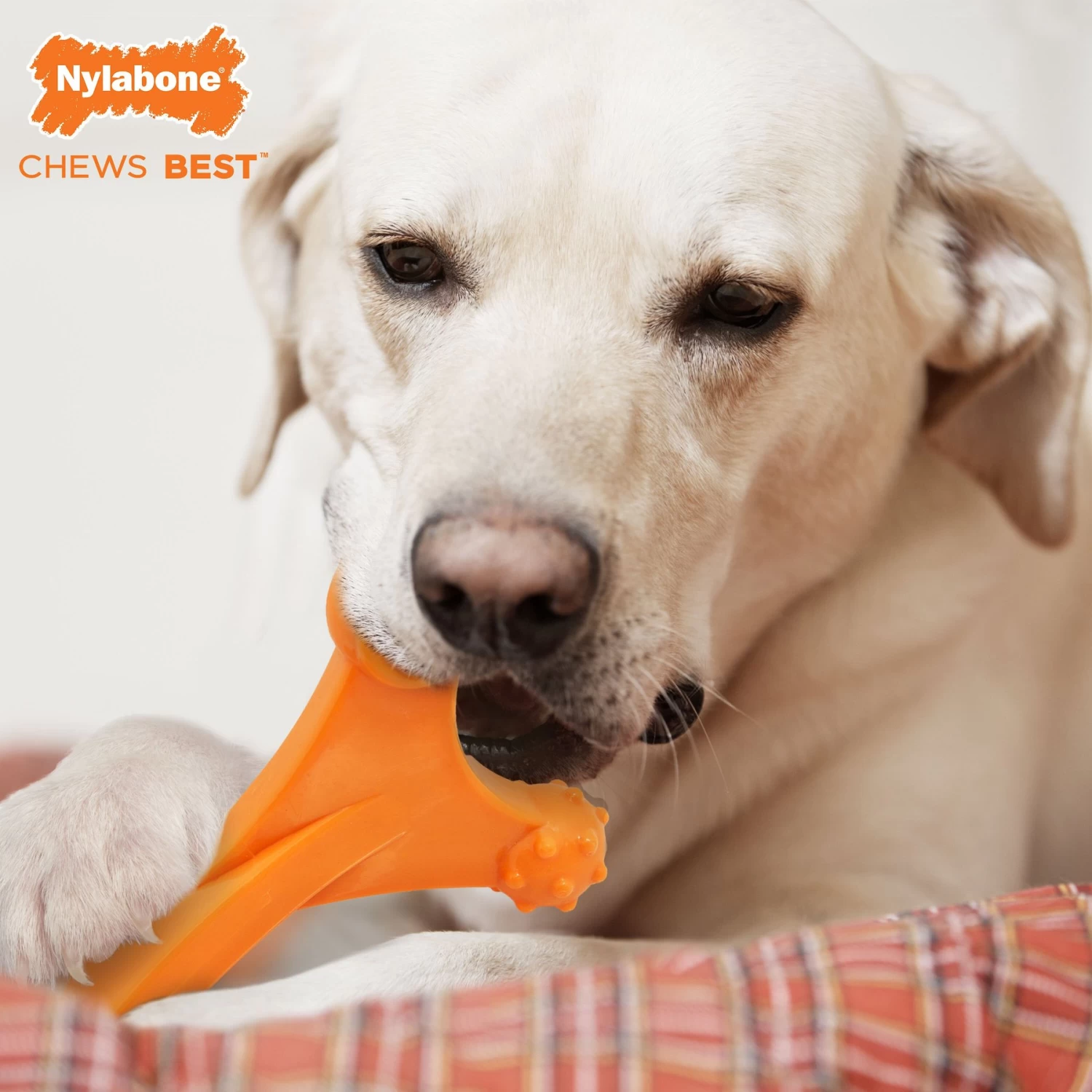 Nylabone Dog Toy Power Chew Dog Toy For Aggressive Chewers - Axis Bone Dog Toy - Bacon - Image 2