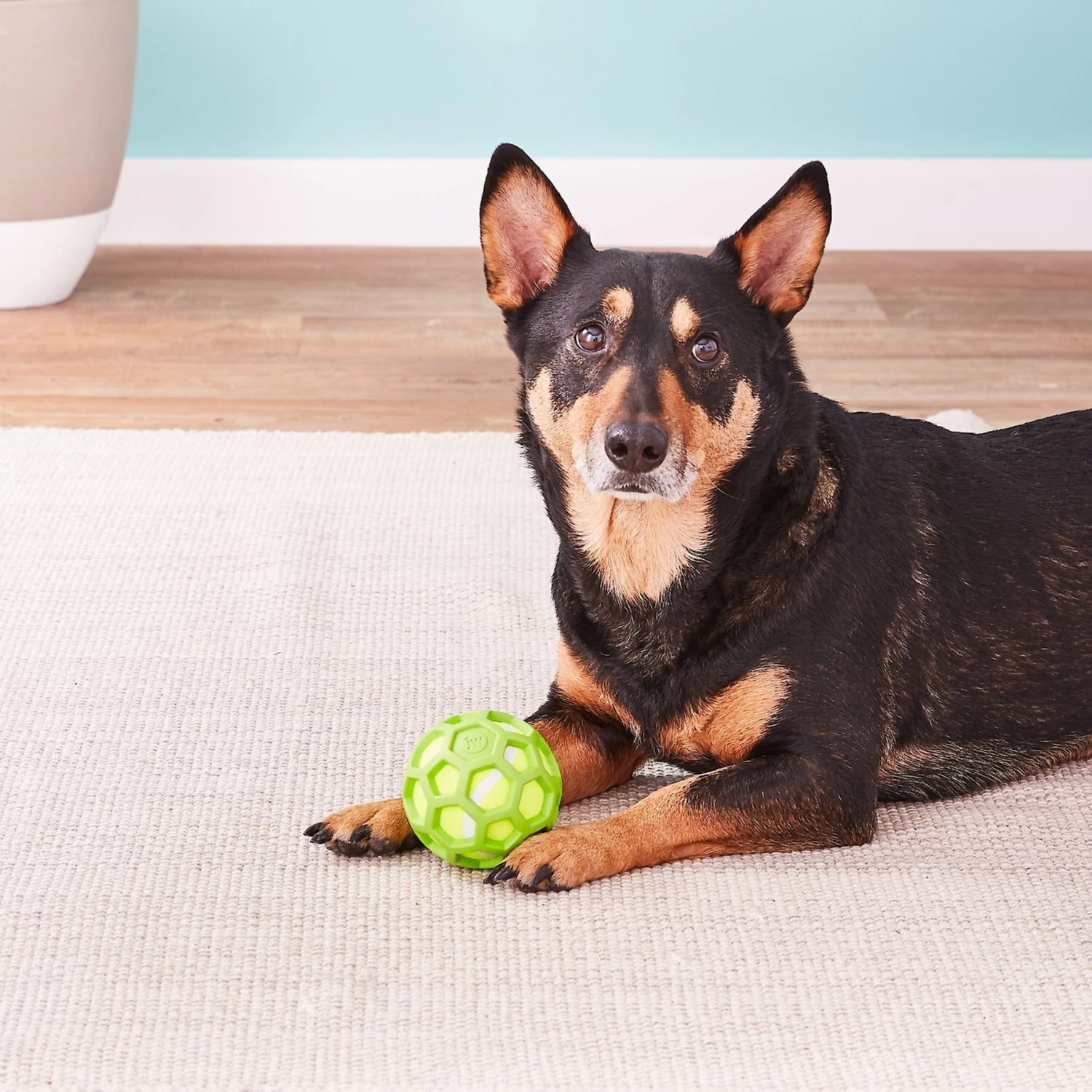 JW Pet ProTEN Hol-ee Roller Dog Toy - Image 2