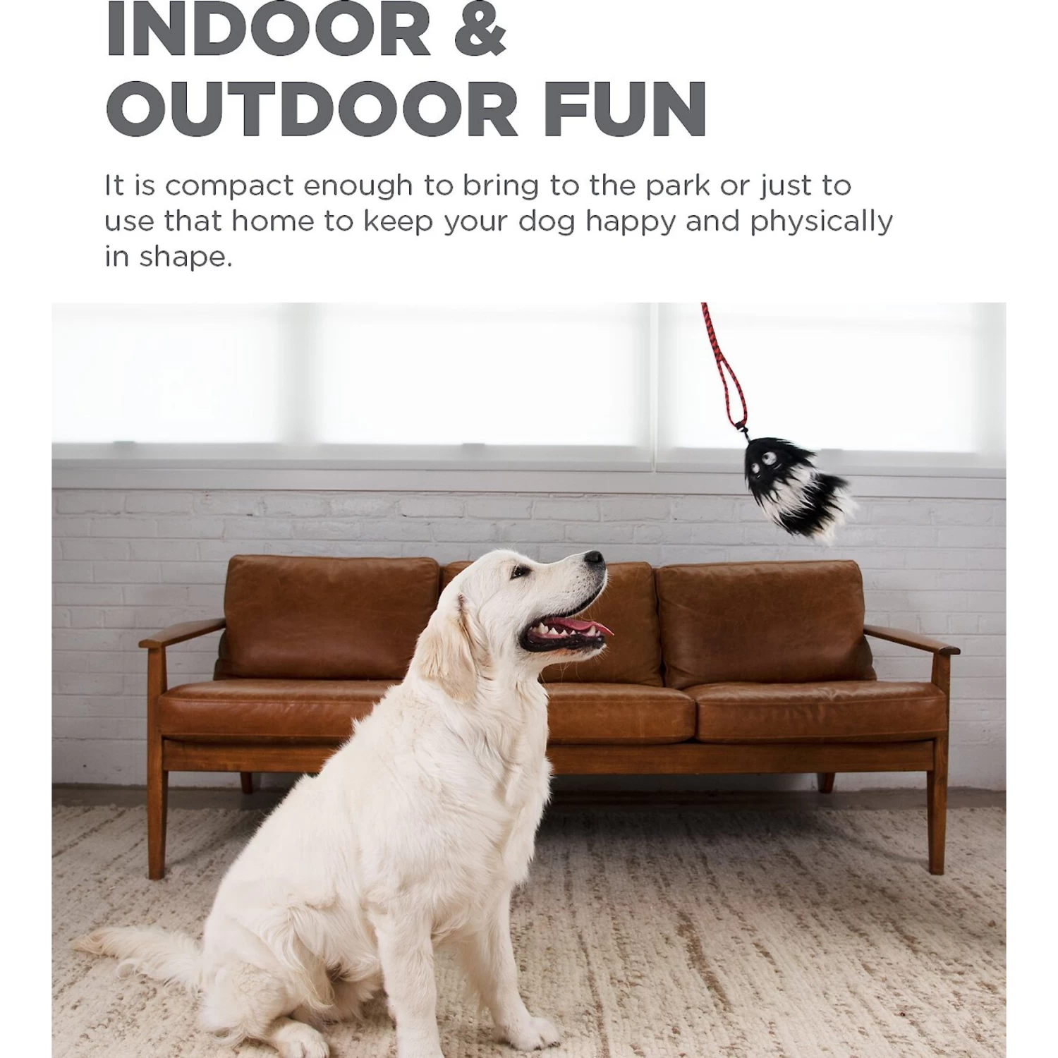 Outward Hound Tail Teaser With Refill Dog & Cat Teaser Toy - Image 3