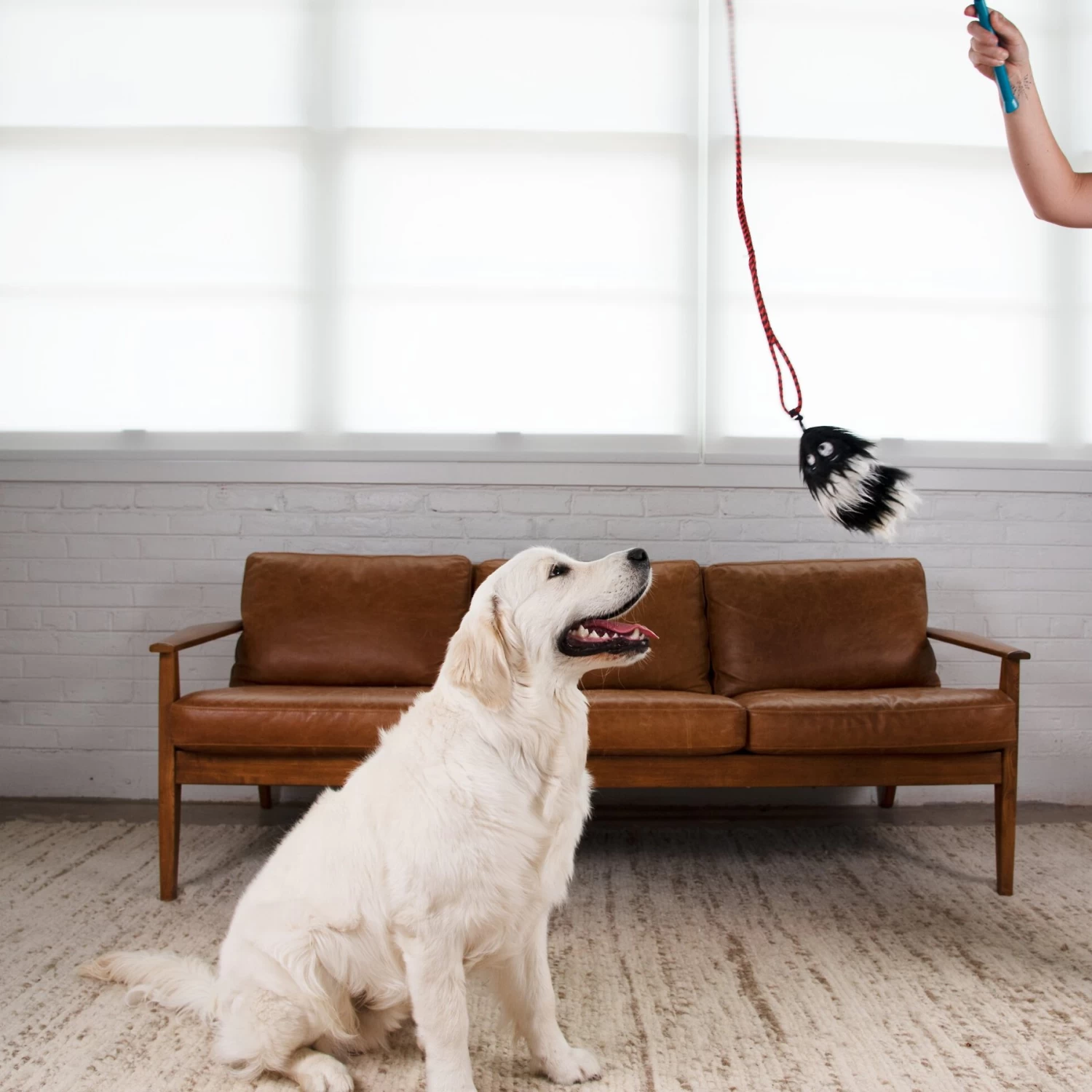 Outward Hound Tail Teaser With Refill Dog & Cat Teaser Toy - Image 7
