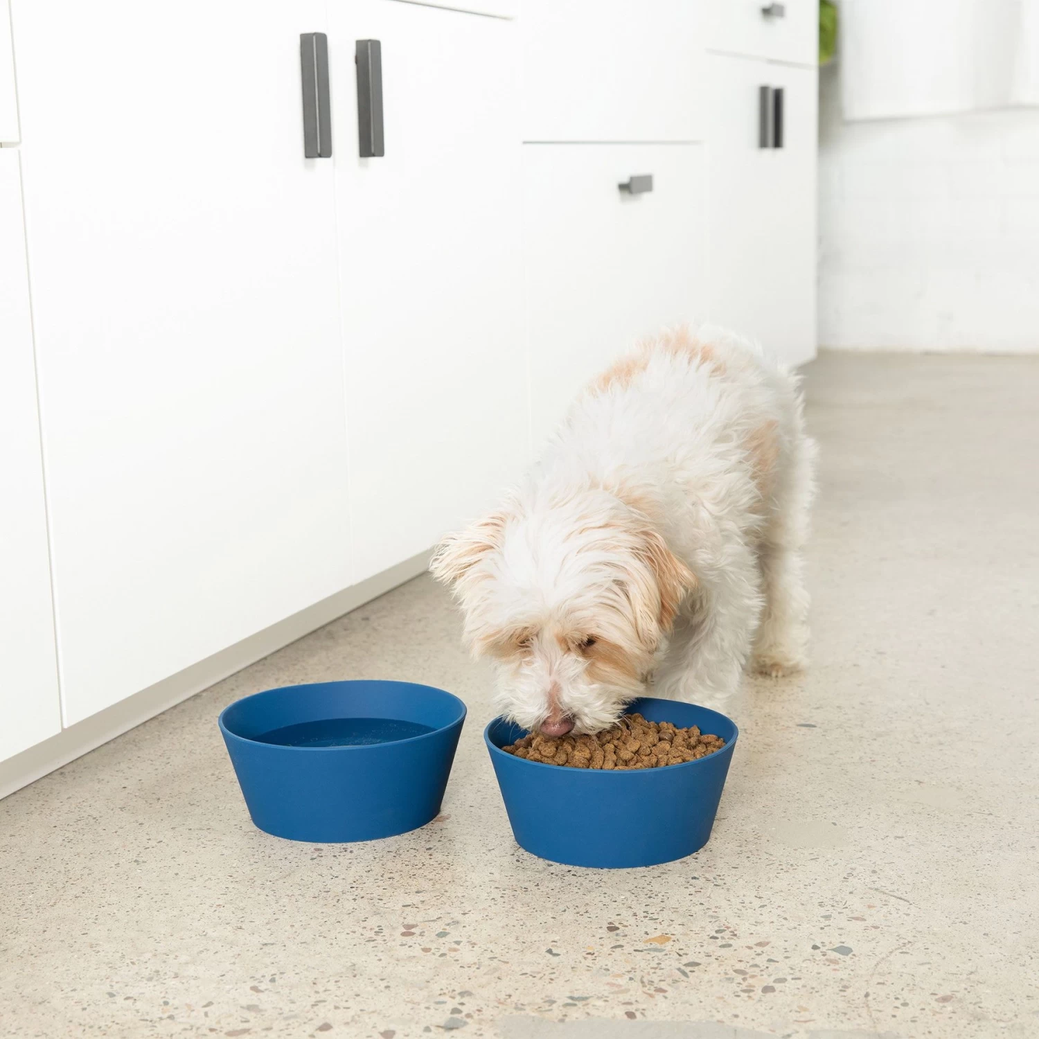 Waggo Habit Non-Skid Silicone Cat & Dog Bowl, Medium - Image 3