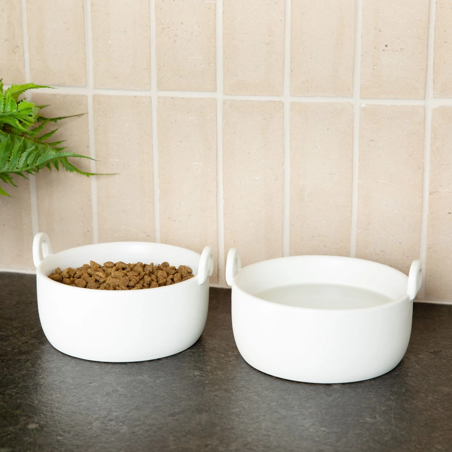 Waggo Handle It Ceramic Cat & Dog Bowl, White, Medium - Image 2