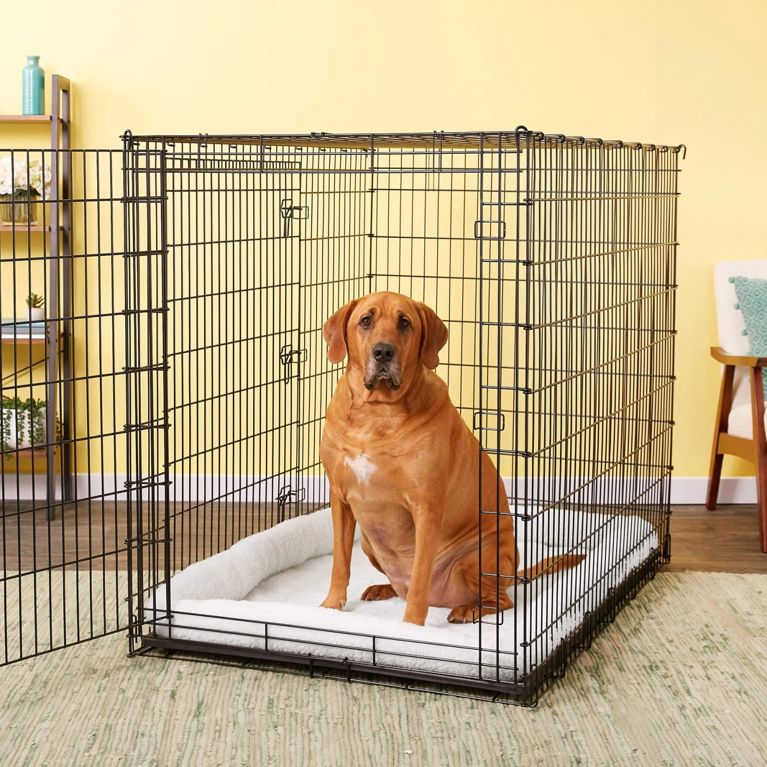 MidWest Solutions Series XX-Large Heavy Duty Double Door Wire Dog Crate, 54 Inch & MidWest Quiet Time Fleece Dog Crate Mat - Image 9